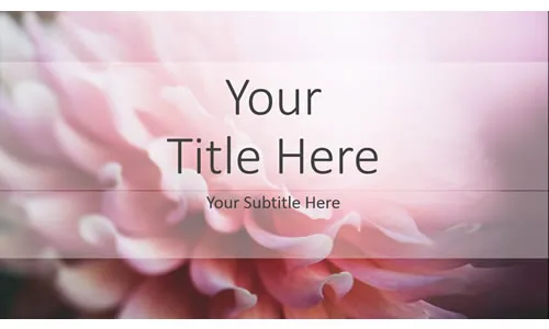 Pink Flower Template PowerPoint Gratis