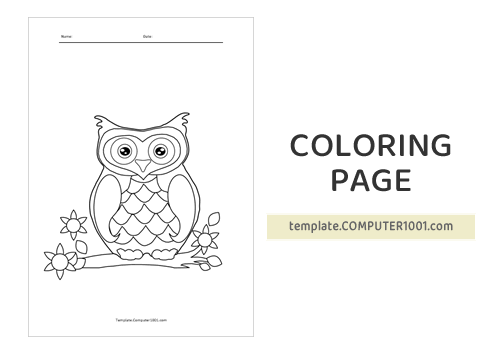 Cute Owl Coloring Page PDF 16