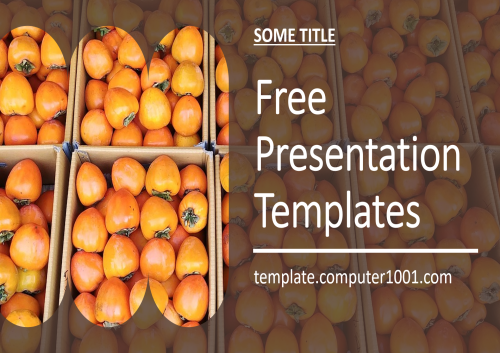 Persimmon PPT Template