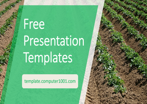 Potato Agriculture PPT Template