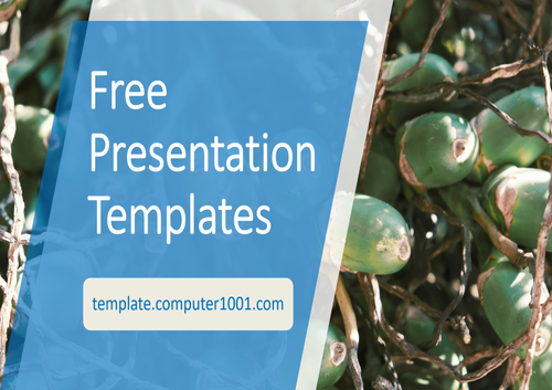 Areca Agriculture PPT Template