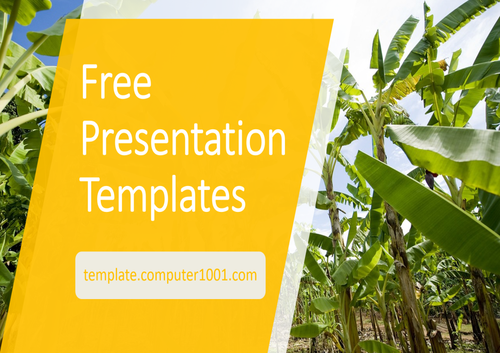 Banana Plantation Agriculture PPT Template