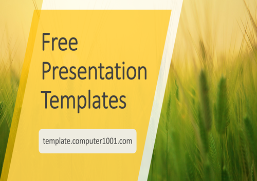 Barley Field Agriculture PPT Template