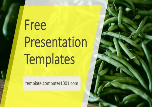 Snap Beans Agriculture PPT Template
