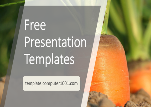Carrot Agriculture PPT Template