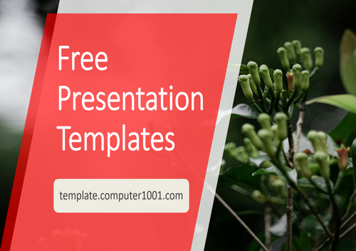 Cloves Agriculture PPT Template