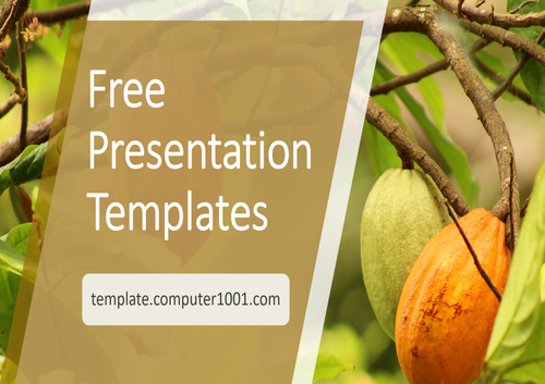 A31 Cocoa Tree Agriculture Ppt Template