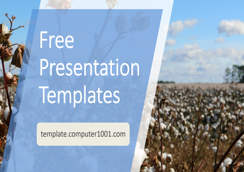 A33 Cotton Agriculture Ppt Template