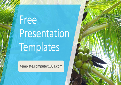A34 Coconut Tree Agriculture Ppt Template