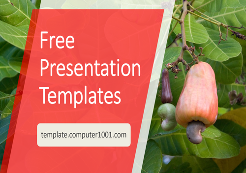 Cashew Tree Agriculture PPT Template