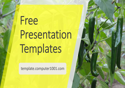 Green Pepper Agriculture PPT Template
