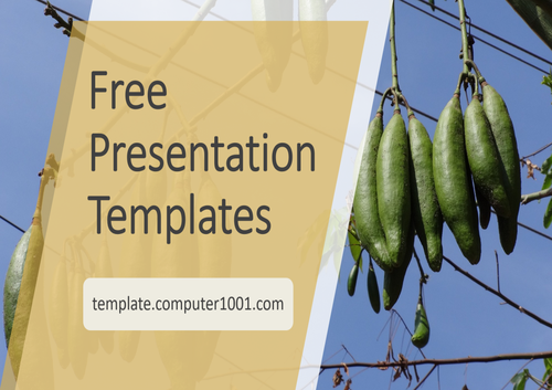 Silk Cotton Agriculture PPT Template