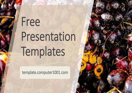 Palm Oil Nuts Agriculture PPT Template