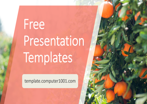 Orange Tree Agriculture PPT Template