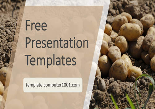 Potatoes Agriculture PPT Template
