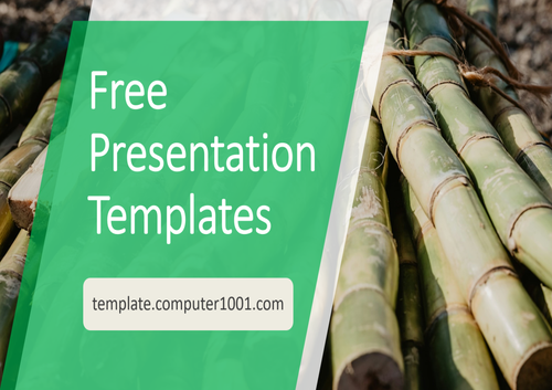Sugarcane Agriculture PPT Template