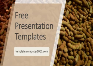 A47 Tamarind Agriculture Ppt Template