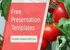 A48 Tomatoes Agriculture Ppt Template