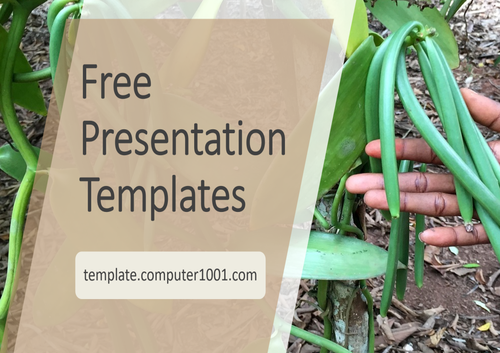 Vanilla Agriculture PPT Template