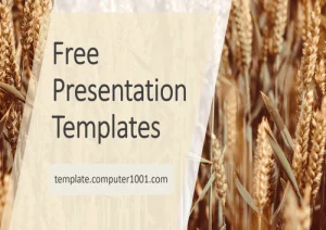 A50 Wheat Agriculture Ppt Template