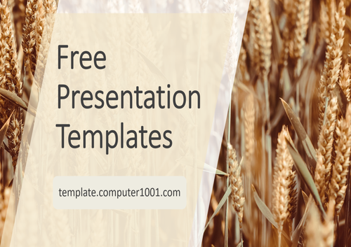 Wheat Agriculture PPT Template
