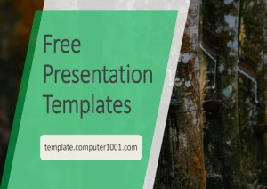 A51 Rubber Trees Agriculture Ppt Template