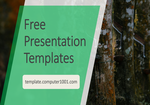 Rubber Tree Agriculture PPT Template