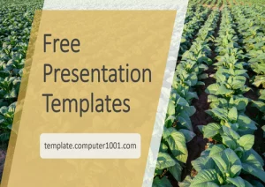 A52 Tobacco Plants Agriculture Ppt Template