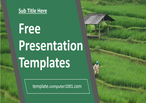 Rice Field Agriculture PPT Template