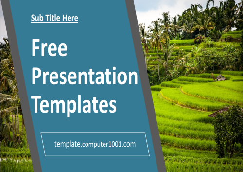 Terraced Rice Field Agriculture PPT Template