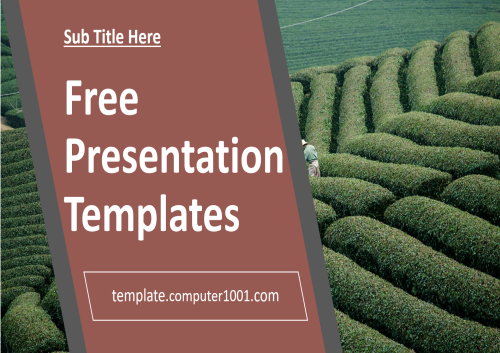 A55 Tea Plantation Agriculture Ppt Template Free