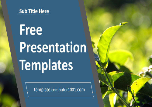 A56 Tea Agriculture Ppt Template Free