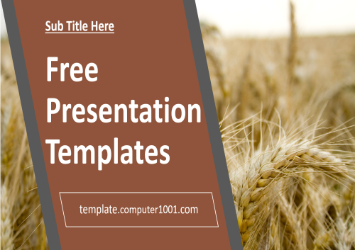 A57 Paddy Field Agriculture Ppt Template Free