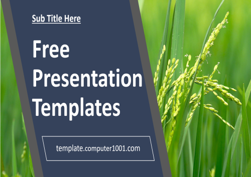 A58 Green Paddy Agriculture Ppt Template Free