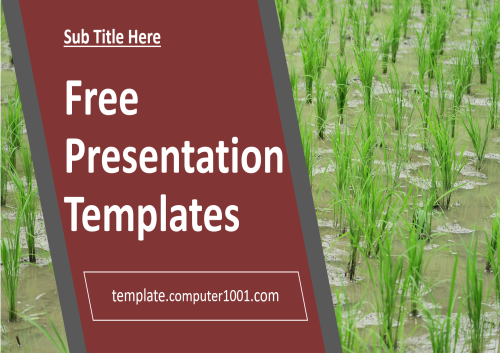 Paddy Field Agriculture Ppt Template Free