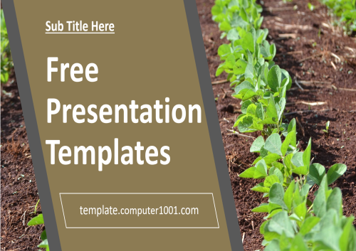 Soybean Plantation Agriculture PPT Template