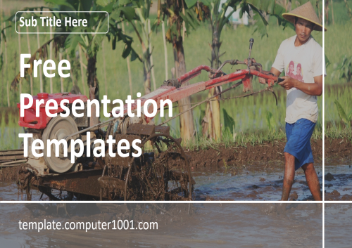 Plowing Rice Field Agriculture Ppt Template Free