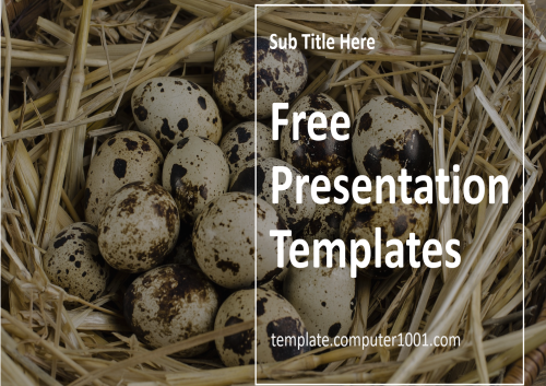 Quail Eggs Farm Ppt Template Free