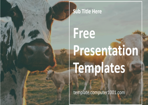 Dairy Cow Farm Ppt Template Free