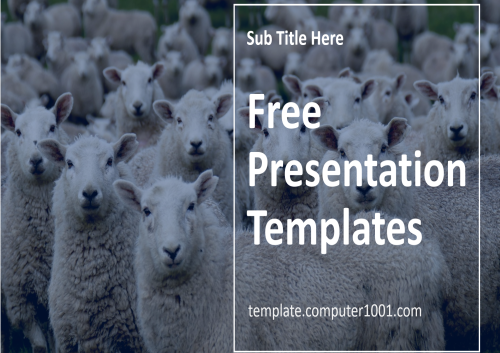 Sheep Farm Ppt Template Free