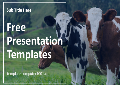 Cow Farm PPT Template