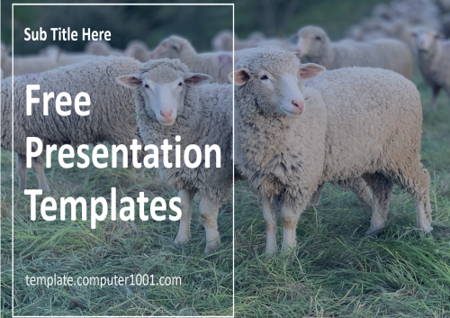 Sheep Farming PPT Template