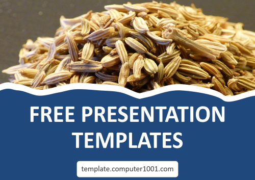 S01 Fennel Ppt Template Computer1001