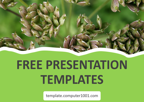 Anise Ppt Template Free Download