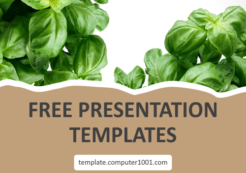 Basil PPT Template