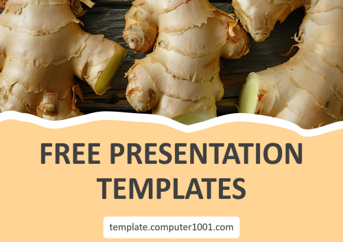 Ginger PPT Template