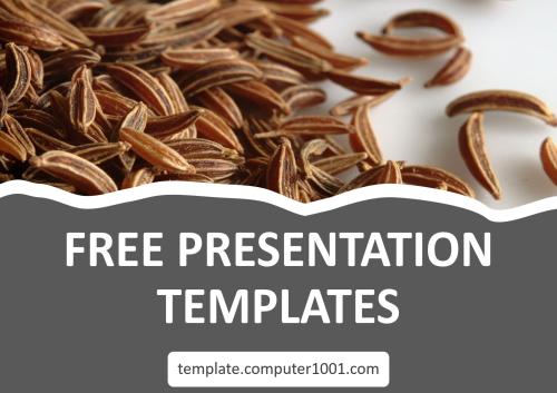 Caraway Seeds Free Ppt Template Biji Jintan