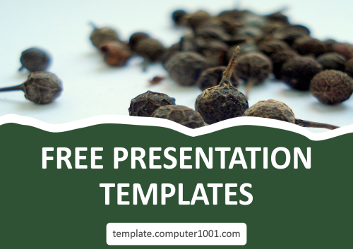 Cubeb Pepper PPT Template