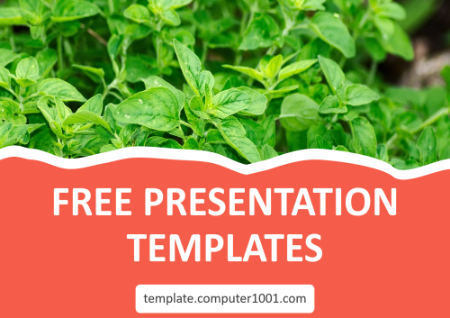 Oregano Ppt Template Free Download