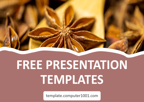 Star Anise PPT Template